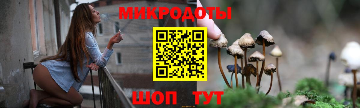 Галлюциногенные грибы Cubensis  купить  цена  Псилоцибиновые грибы мицелий  Мурино  Вход с VPN 